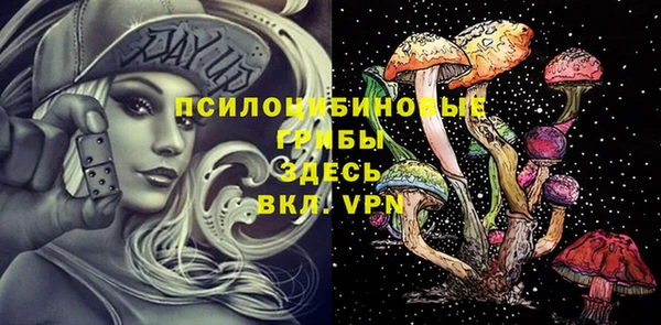 прущие грибы Арсеньев