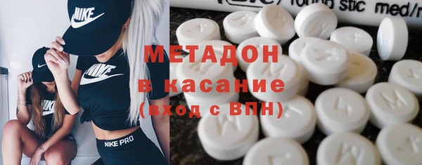 прущие грибы Аркадак