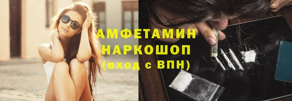прущие грибы Аркадак