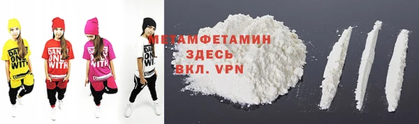 прущие грибы Аркадак