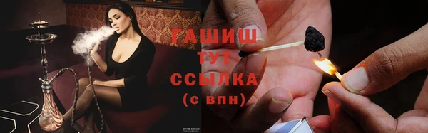 прущие грибы Аркадак