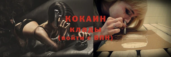 прущие грибы Арсеньев