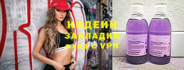 прущие грибы Аркадак