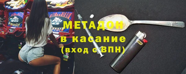 прущие грибы Аркадак