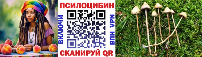 Псилоцибиновые грибы Psilocybine cubensis  Серов 